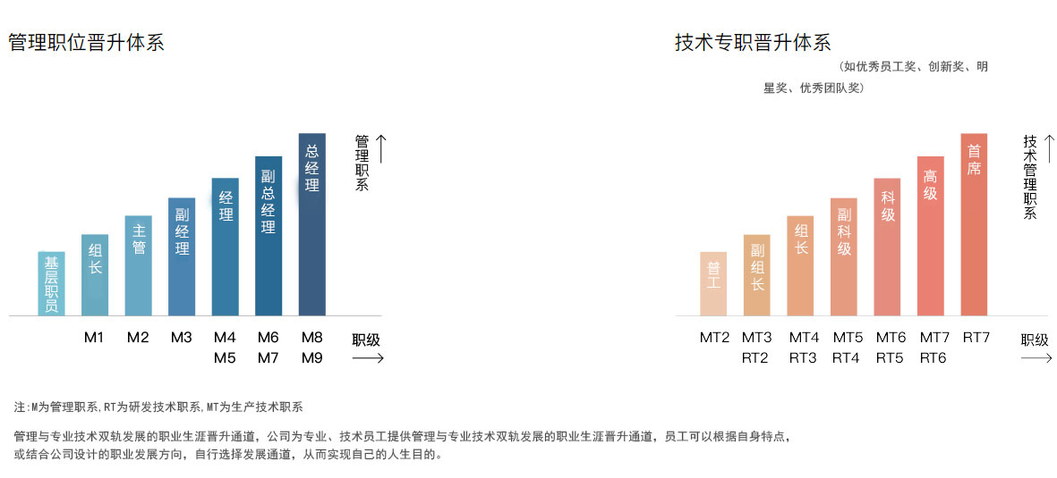 德兆恒进体系